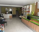 微信截图_20240912150136