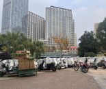 微信截图_20241204095657